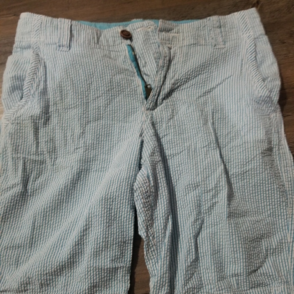 Teal pin striped shorts